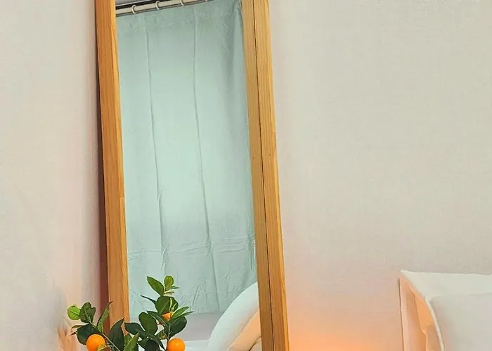 뉴 다다 서울특별시