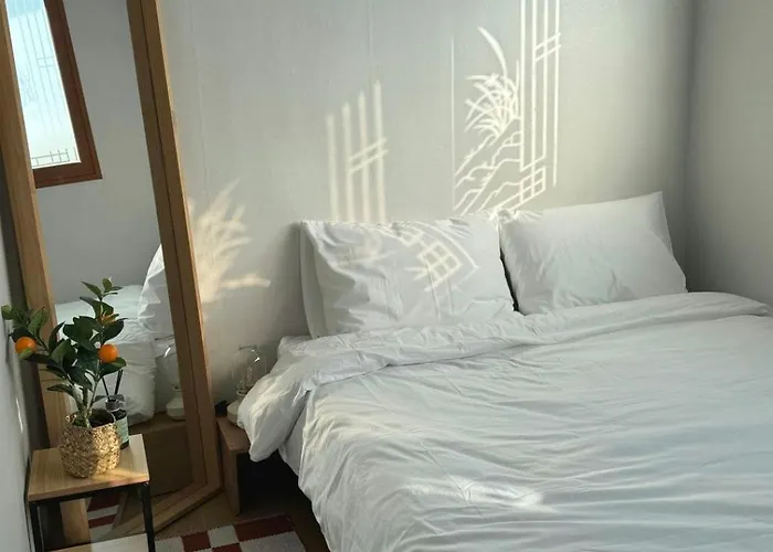 뉴 다다