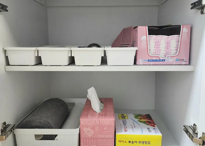 뉴 다다 서울특별시